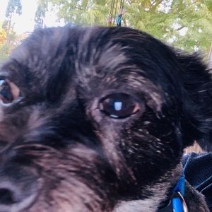 Meet your Posher, Esperanza